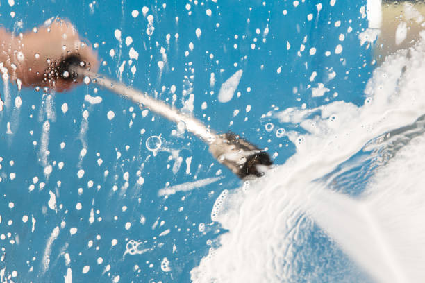 Best Animal Enclosure Cleaning  in Staunton, VA